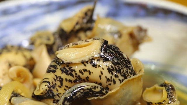 Bite of Conch with Wasabi