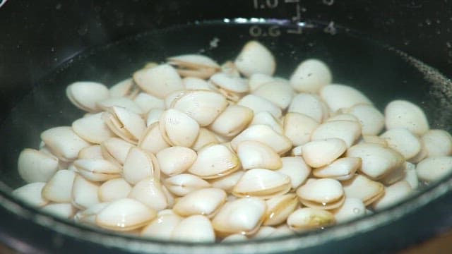 Clams boiling in a pot