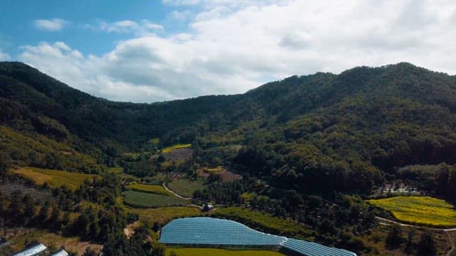 Sunny Sky over the Lush Countryside Landscape