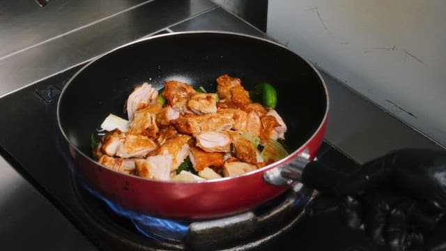 Cooking Chicken Stir Fry witn Pan on Stove