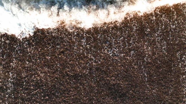 Waves crashing on a sandy beach