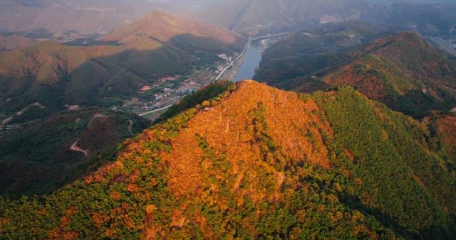 Autumn Foliage Overlooking a Serpentine River