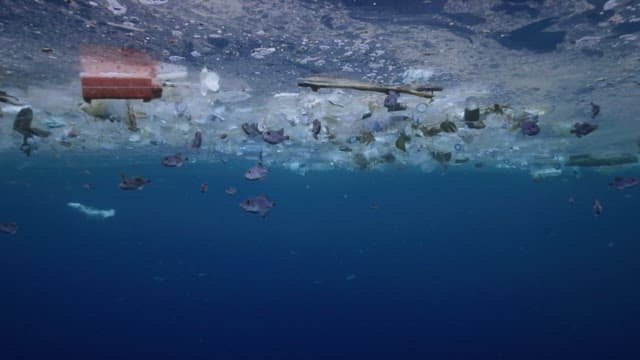 Sea full of garbage filled with schools of fish