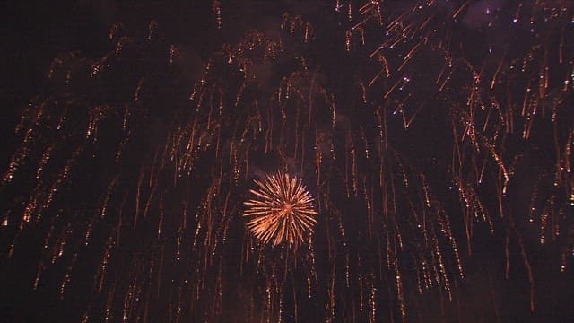 Dazzling Fireworks Display in the Night Sky