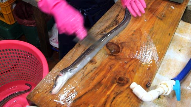 Fresh eel being neatly sliced ​​with a knife on a wooden cutting board