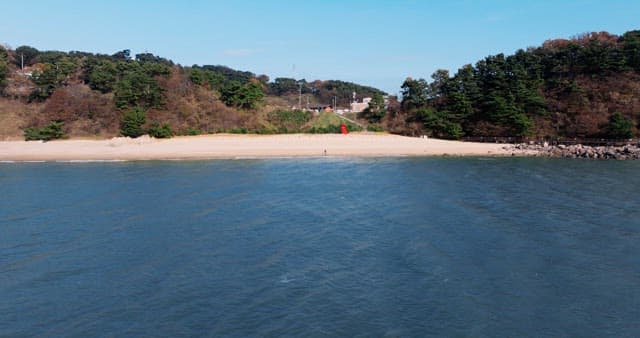 Secluded Beach with Forest and Mountains