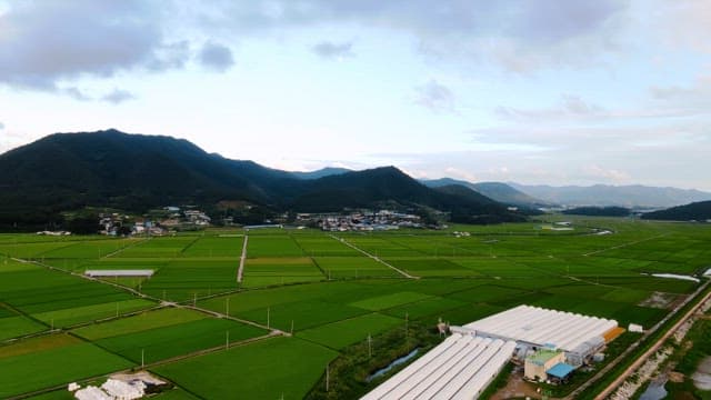 Expansive green fields with distant mountains