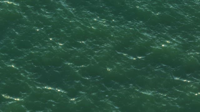 Sunlight reflecting on gentle waves