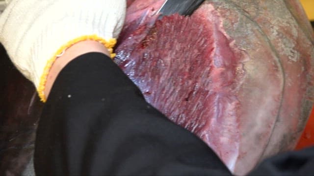 Chef Skillfully Cuttings Fresh Tuna