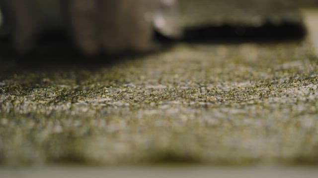 Spreading Oil to Well-Cooked Seaweed