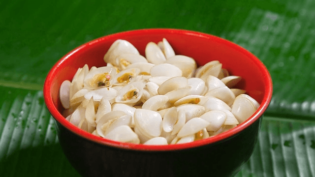 Bowl of fresh clams on a green leaf