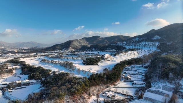Snow-Covered Landscape with Mountains and Trees