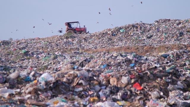 Tractor and elephant on a extensive landfill under clear skies