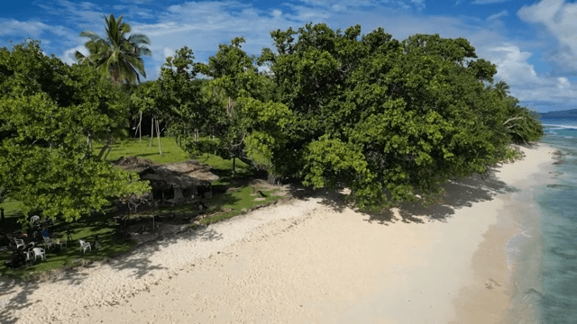 Beach with emerald water and huts