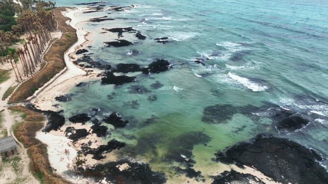 Scenic beach with palm trees and waves