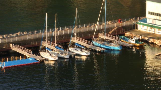 Boats docked at a serene marina