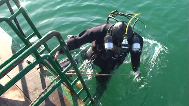 Scuba Diver Preparing for Underwater Exploration