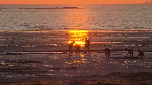 Low Tide Beach Colored by the Red Sky of Sunset