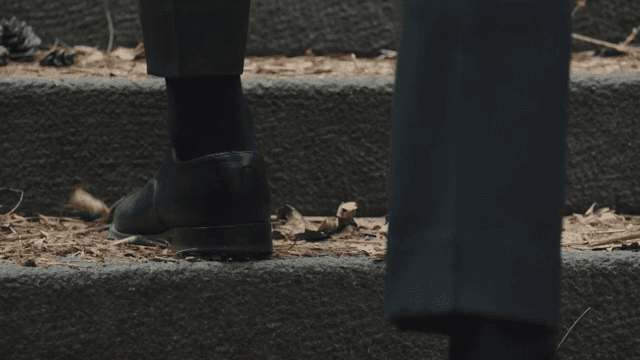 Person wearing shoes going up stone steps covered in fallen leaves