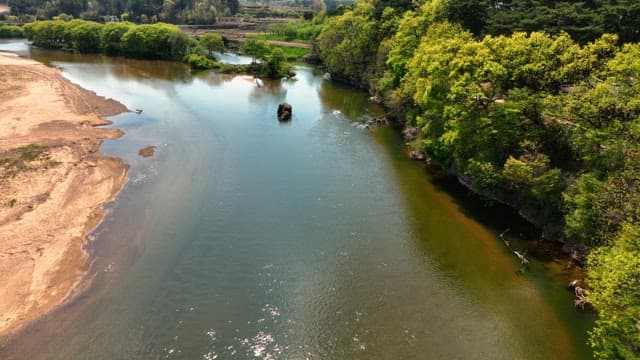 Tranquil river flowing through lush forest