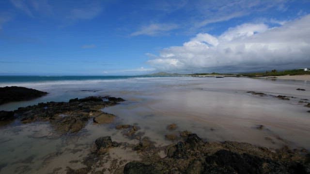Serene Beach View with Clear Sky