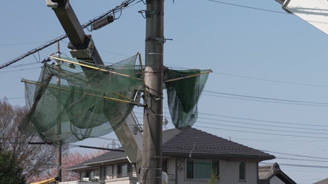 Repairing power lines on a sunny day in the neighborhood