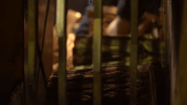 Logs being processed in a factory