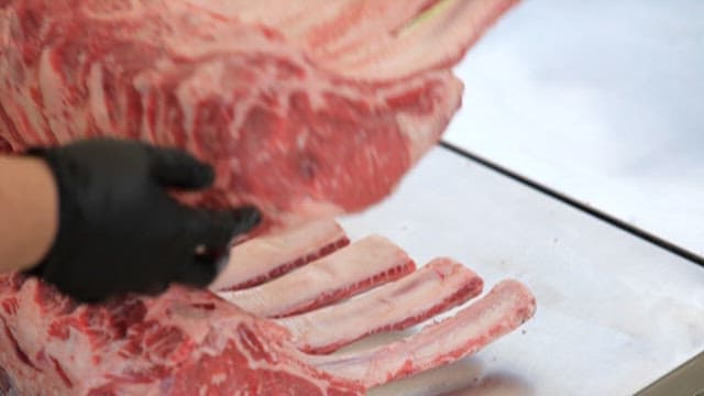 Raw beef ribs on a stainless steel table