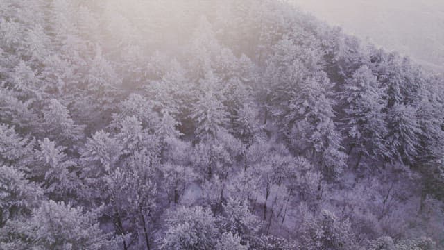 Mountains Covered White with Snow at Dawn