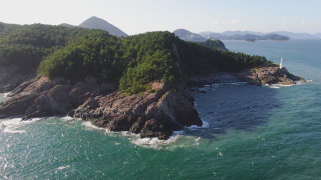 Rocky coastline with lush green forest