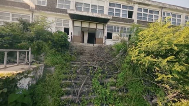 Overgrown vegetation at an abandoned building entrance
