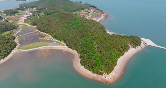 Aerial view of a lush green island