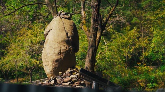 Lush trees and greenery surrounding the stone tower