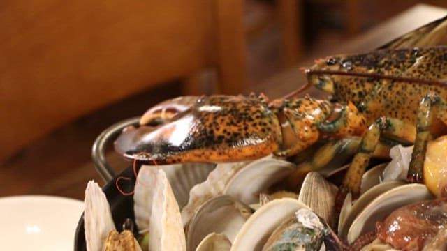 Live lobster on seafood stew ingredients