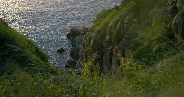 Coastal Cliffs Overlooking the Ocean
