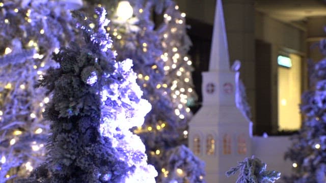 Snowy Christmas Trees with Festive Lights