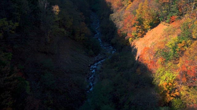 Aerial View of a Scenic Autumnal Valley