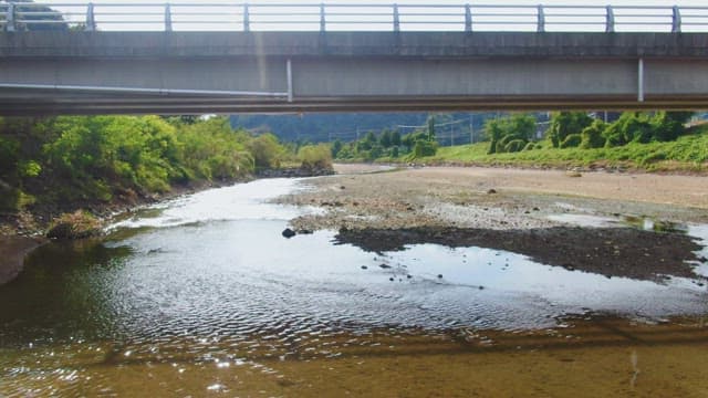 Serene river flowing under a bridge