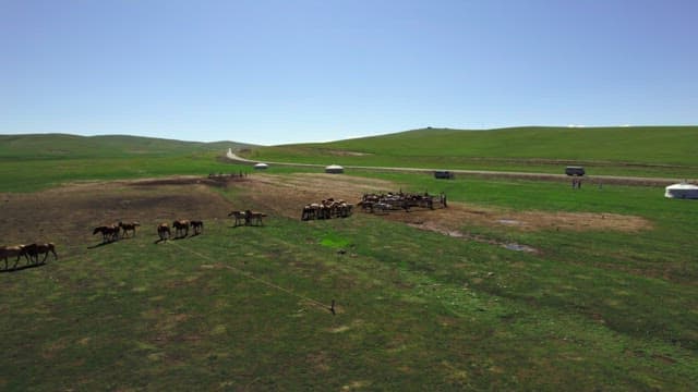 Serene Pastoral Scene with Grazing Livestock