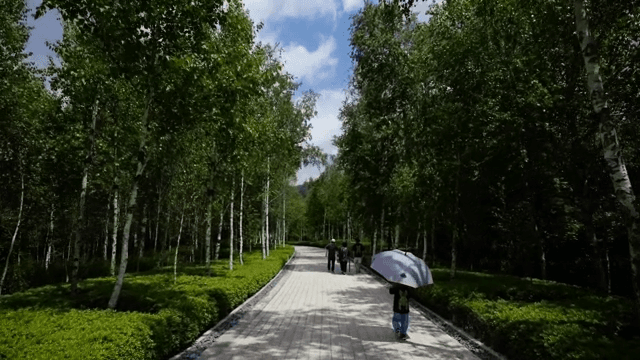 Family walking in a park with trees on a clear day