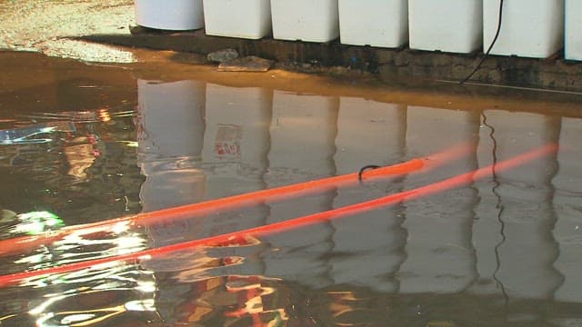 Person Walking Through a Flooded Street