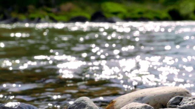 Flowing river with sunlight reflections