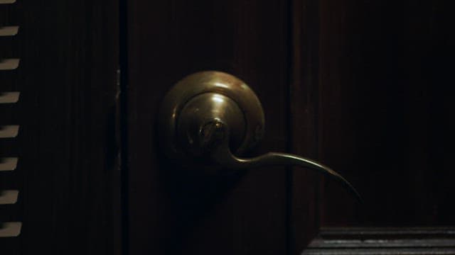 Close-up of a dark wooden door with a brass handle