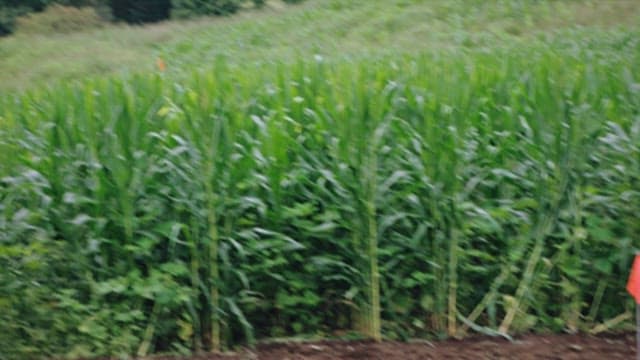 People Digging the Ground with Farming Tools in Farmland